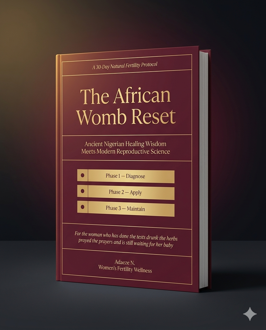 The African Womb Reset - 3D Book Mockup